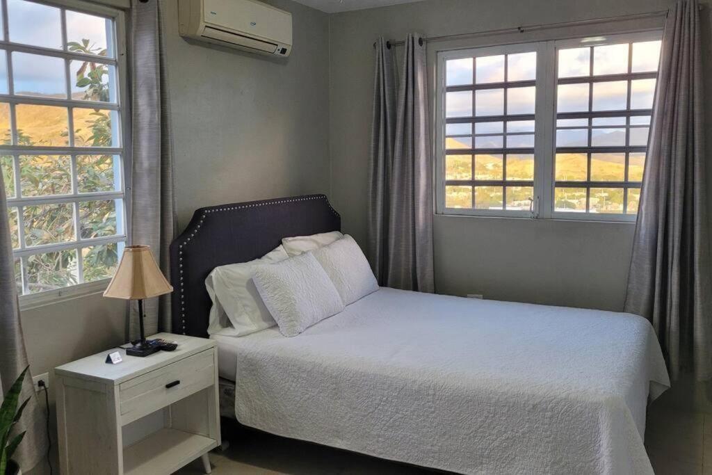 Coamo Beautiful House, Ac, 10Min Coamo Hot Springs Apartment Ngoại thất bức ảnh